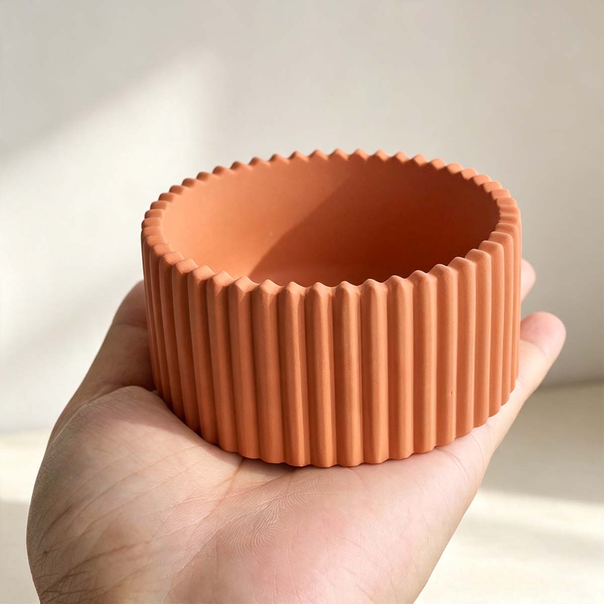 Stampo in silicone per baratto - Potsticker Mold recensione e prezzo