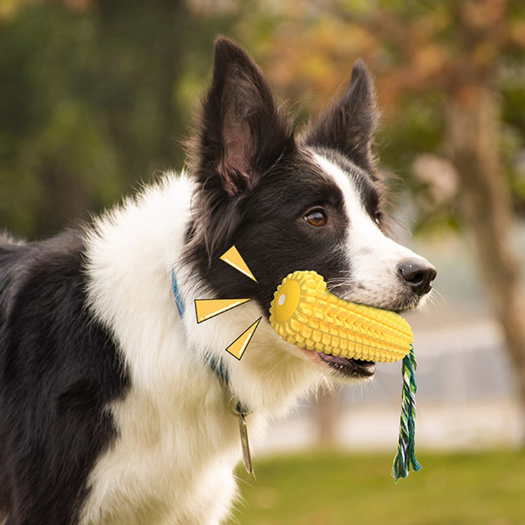 Popolare Giocattolo per Cani i - Corn Dog Stick recensione e prezzo